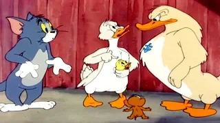 Tom and Jerry 47 Episode - Little Quacker 3 (1950)