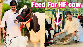 How to start Dairy Farm in India | Step by step | Full details | Gurwinder Dairy Farm