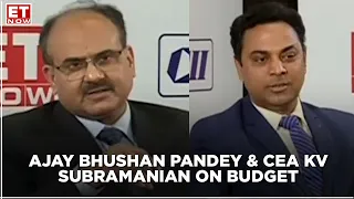 FM Sitharaman's A-Team on Budget 2021 | Finance Secretary Ajay Bhushan Pandey & CEA KV Subramanian