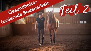 🐎 Vertrauensfördernde Bodenarbeit mit Praxistipps ❤️