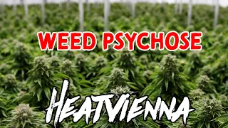 WIE SICH EINE CANNABIS PSYCHOSE ANFÜHLT (UND WIE ICH SIE LOSGEWORDEN BIN)