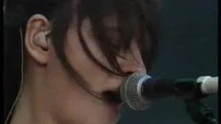 Elastica-Generator-live