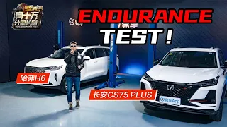 哈弗H6和长安CS75 PLUS耐久性测试！Haval H6 and Changan CS75 PLUS endurance test！