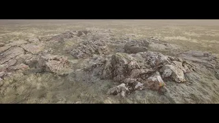 Lichen Fields for Unreal 5