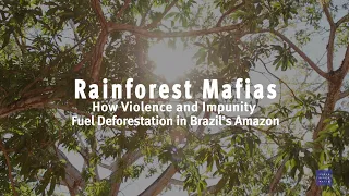 Rainforest Mafias: How Violence and Impunity Fuel Deforestation in Brazil's Amazon