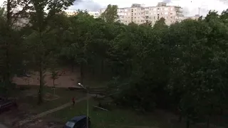 Погода валит деревья, Минск