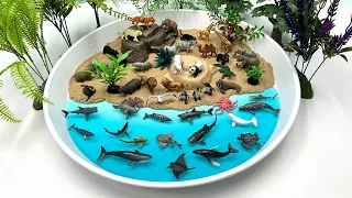 Diorama Ocean World For Sea Animals Safari Animals| 혹등고래 귀신고래 매너티 바다사자 한천가루