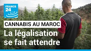 Légalisation du cannabis au Maroc : les cultivateurs lassés d'attendre • FRANCE 24