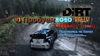 2015 Dirt Rally Stream Стрим 2022 #1 Прохождение пробуем новую часть