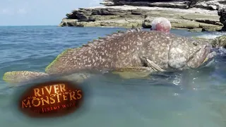 Jeremy Wade Has A Close Shave With A 300lbs GIANT Grouper | GROUPER | River Monsters