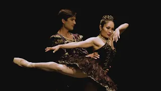 SWAN LAKE | excerpts from a beautiful ballet