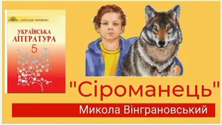 "Сіроманець" аудіокнига скорочено🐺Микола Вінграновський