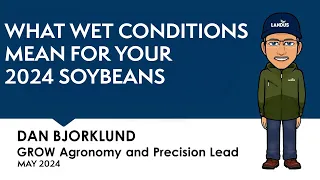 What Wet Conditions Mean for Your Soybeans | Virtual Agronomist