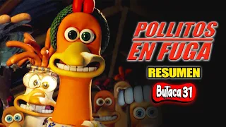 💥POLLITOS EN FUGA (Resumen) | #LaButaca31