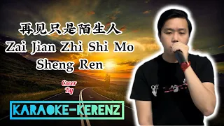 再见只是陌生人 ( Zai Jian Zhi Shi Mo Sheng Ren ) - Karaoke Version