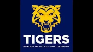 princess of wales royal regiment (pwrr) documentary