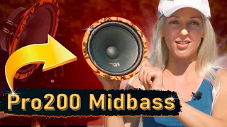 ЖИРНЫЙ МИДБАСС за 3390р! DL Audio Gryphon Pro 200 Midbass