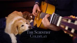 The Scientist - Coldplay (Fingerstyle Guitar)