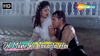 Dil Milne Ko Tarasta Hai | Govinda, Ayesha Jhulka | Alka Yagnik Hit Love Songs | Ekka Raja Rani Song