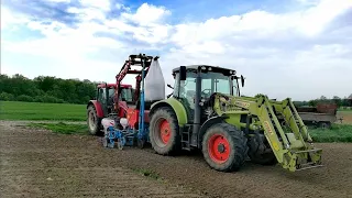 Majowy siew kukurydzy 2018 na mocnej pompie/ Przy zachodzie słońca/ Claas Arion 510/ Monosem.