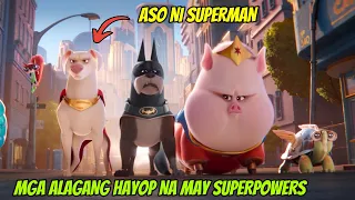 Nagkampihan Ang Mga Malalakas Na Hayop Na May Superpowers Para Iligtas Ang Nadakip Na Justice League