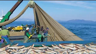 South Korean fishing technique catches fish, abundant results