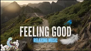 Relaxing Music 1 Hour - A walk in the mountains • Feeling Good • Relaxing Music #relaxingmusic