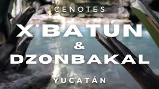 CENOTES DE YUCATÁN 🌴 | Xbatún y Dzonbakal