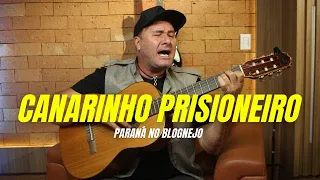 Paraná - Canarinho Prisioneiro (voz e violão)