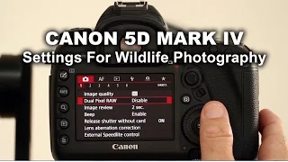 Canon 5D Mark IV - Settings For Wildlife Photography