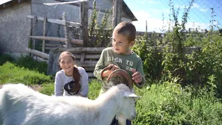 НАС ПРИЮТИЛ ФЕРМЕР.ЖИЗНЬ В ЗАБРОШЕННОЙ ДЕРЕВНЕ.