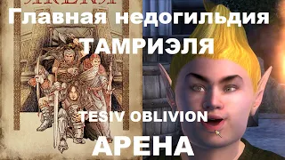 Главная недогильдия Тамриэля | TESIV Oblivion: Арена | Обзор + Прохождение + Секреты