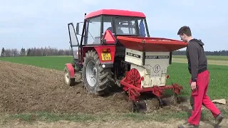 Sázení brambor v podání Zetorů! Na brambory se sjely 4 traktory Zetor, soukromí zemědělci / 2021! :)