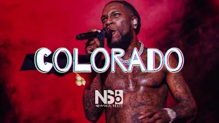 FREE Burna Boy x Rema Type Beat "Colorado" | Dancehall Type Instrumental 2024