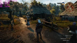 FPS Test: The Witcher 3. GTX1060 + i5-3570