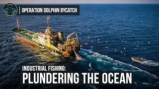 Industrial Fishing: Plundering the Ocean