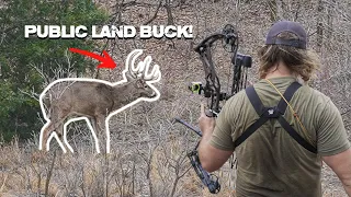 Bowhunting Public Land in Arkansas, Texas, and Oklahoma Post-Rut