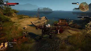 The Witcher 3: Wild Hunt Finishing Moves Montage [HD]