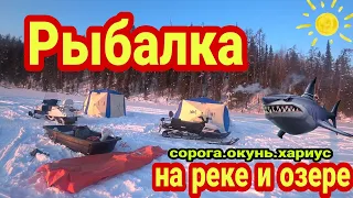 Рыбалка на озере и таёжной речке в Архангельской области.100км на снегоходе за 2дня