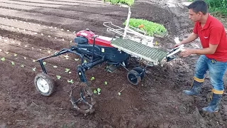 Transplantadeira de hortaliças  YANMAR.  Fone Whatsapp 48 9.9985-5880