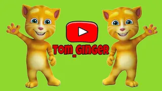 #cat #shorts #rek #tom #catvideos #trending #shortsvideo #youtubeshorts #subscribe #talkingtom