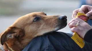 ПЯТЕРКА ДОБРЫХ ПОСТУПКОВ, КОТОРЫЕ ВЕРНУТ ВАМ ВЕРУ В ЧЕЛОВЕЧЕСТВО