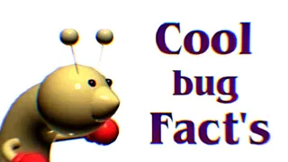 Cool Bug Fact's