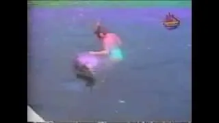 dolphin try rape women!!!