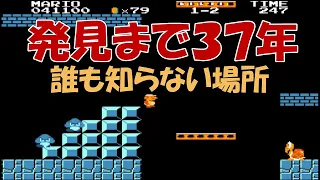 【検証４０】スーパーマリオブラザーズ 発見まで３７年 その先に行くとどうなる？