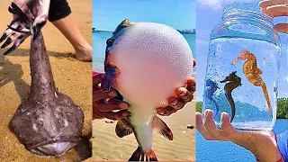 Захватывающий и расслабляющий улов морепродуктов 🦀🐙 #125