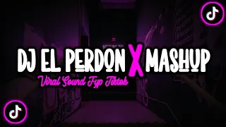 Dj El perdon X Mashup // Viral Fyp Tiktok ( by Ellkha Bloods)