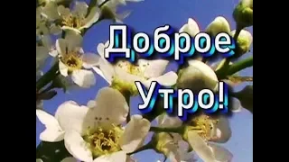 С Добрым Утром! Удачной Субботы!🌷Музыкальная открытка с добрым утром!