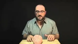 VSauce: Сознание