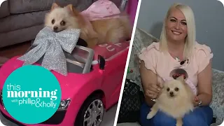 The Woman Who Spends £13,000 a Year on Her Dogs | This Morning